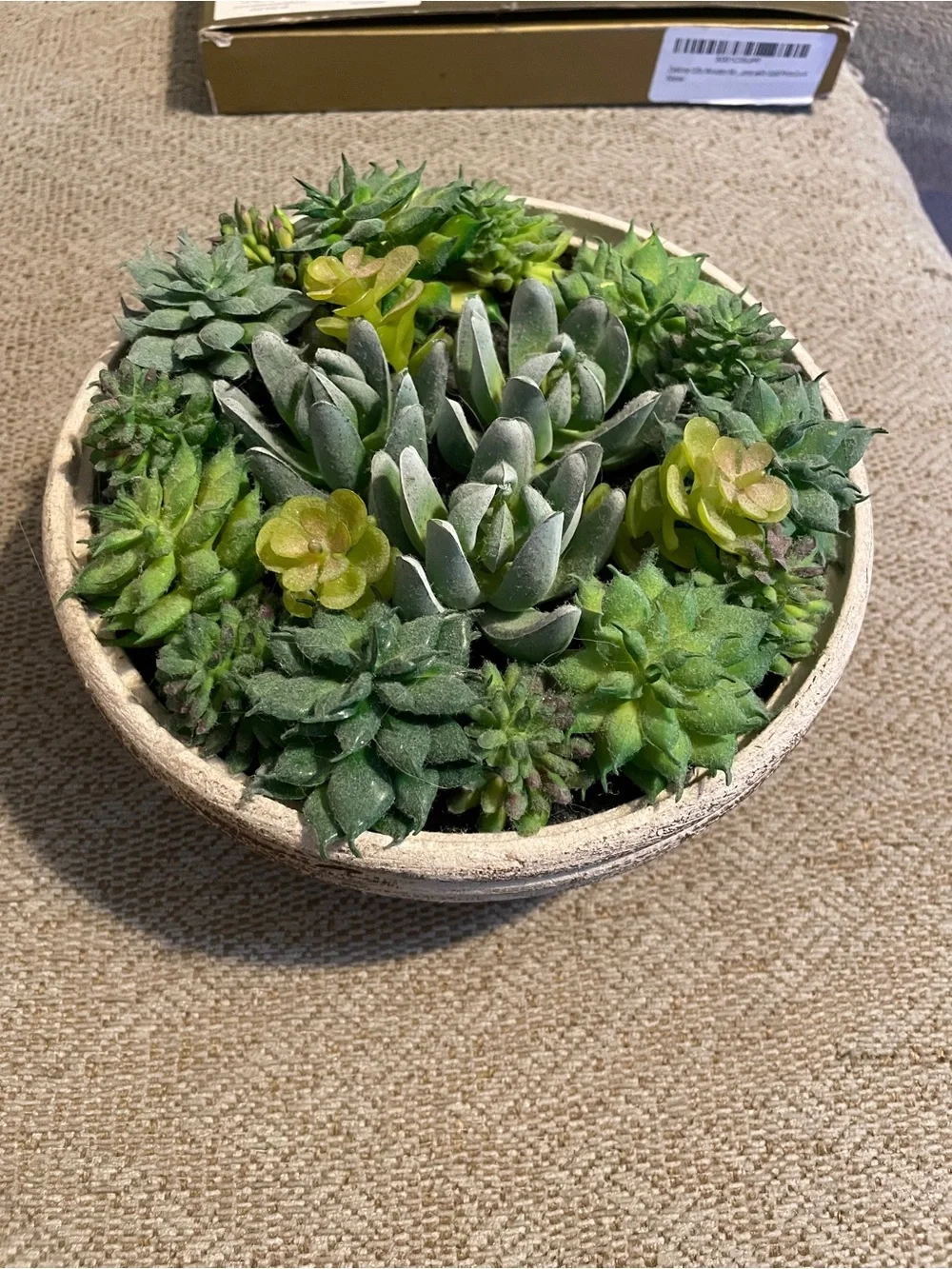 Artificial Succulent Bowl - Green & Cream Decorative Planter 7 in long 3 in high